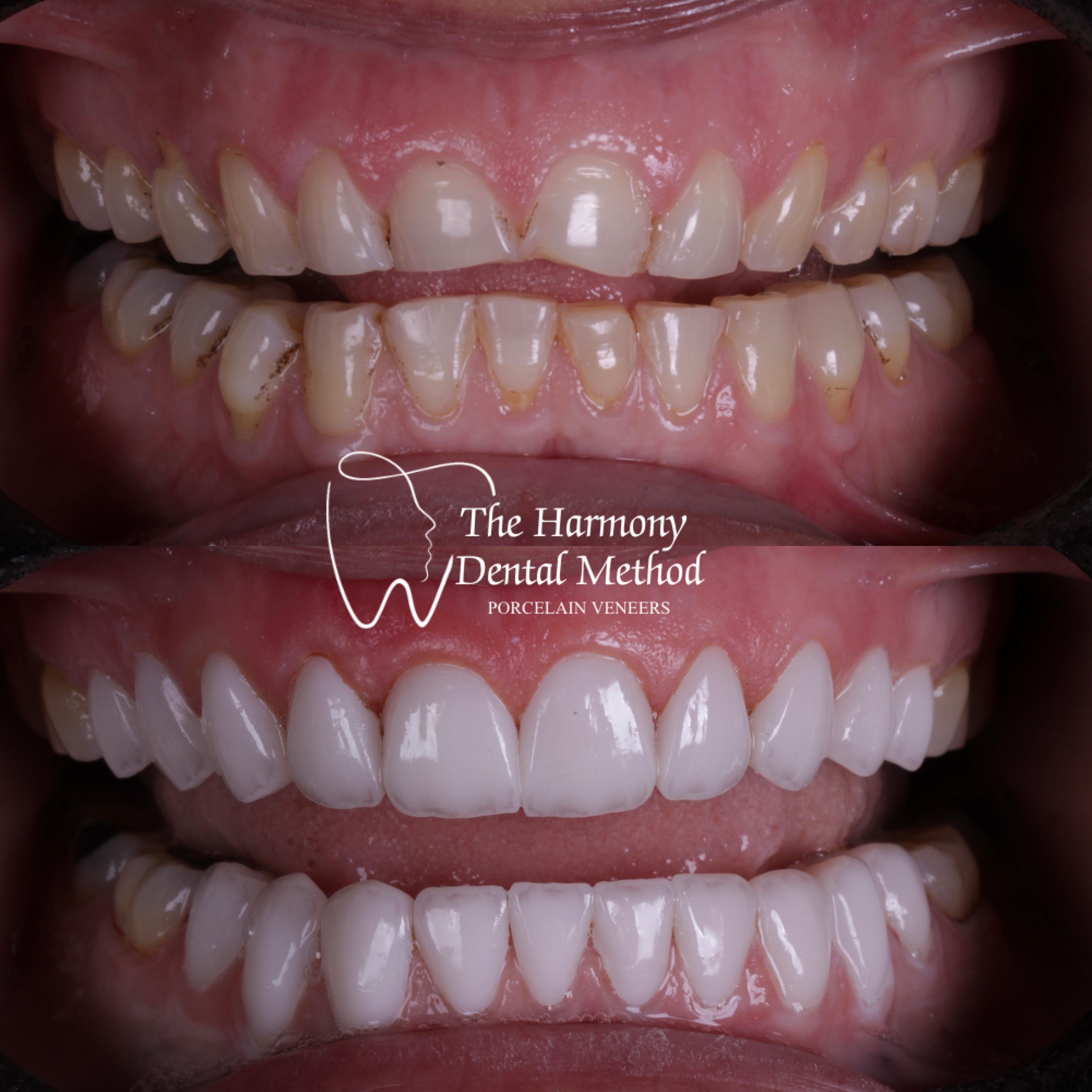Harmony Tampa